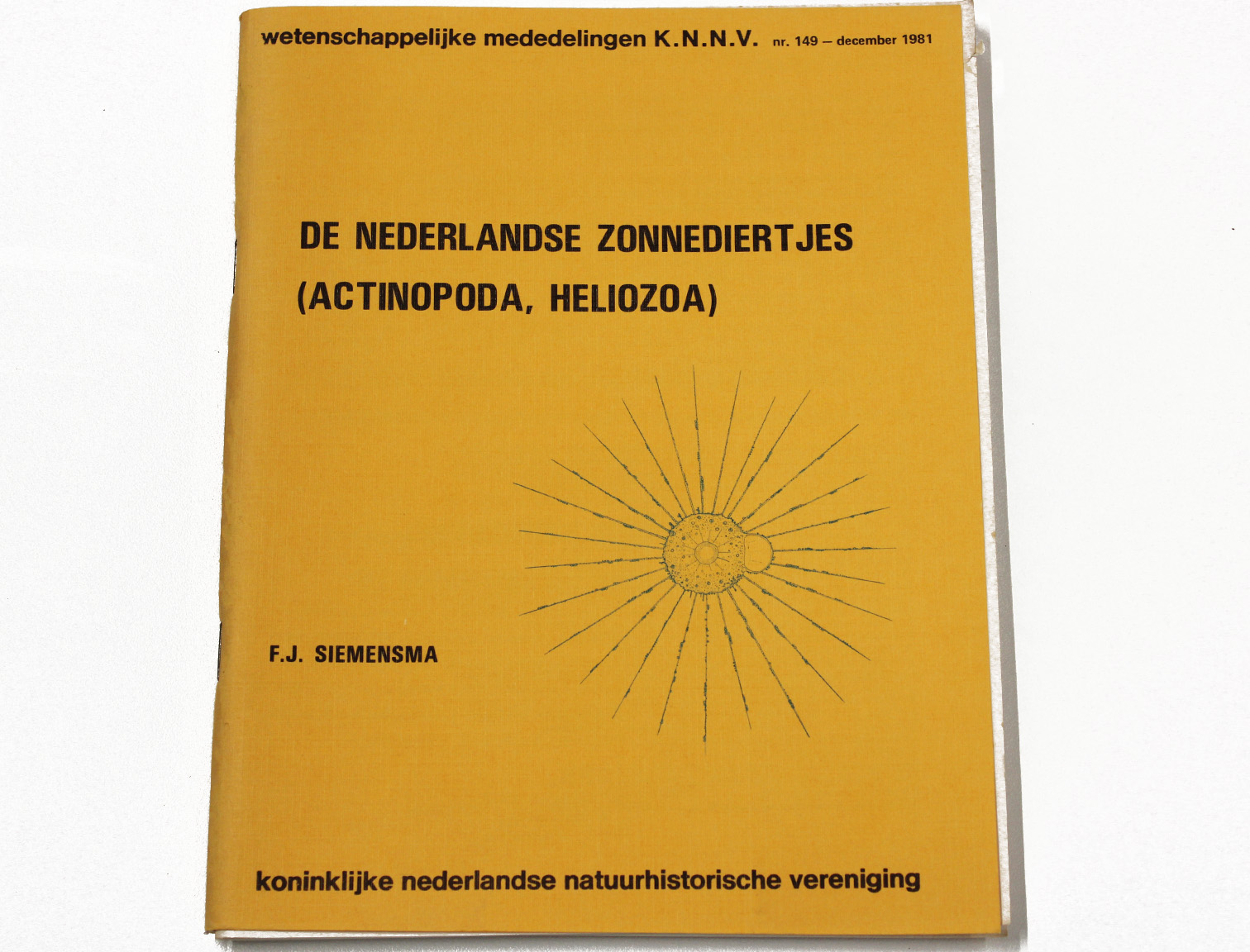 nederlandse zonnediertjes